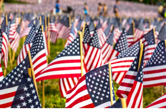 Diet Friendly Memorial Day Recipes