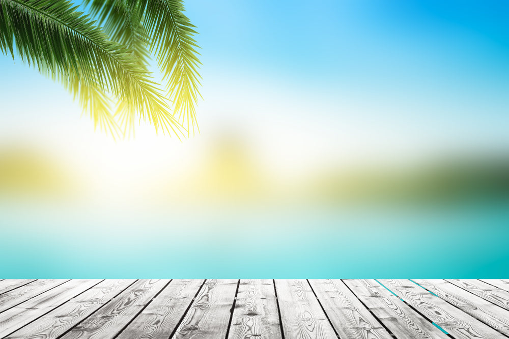 What is the South Beach Diet?